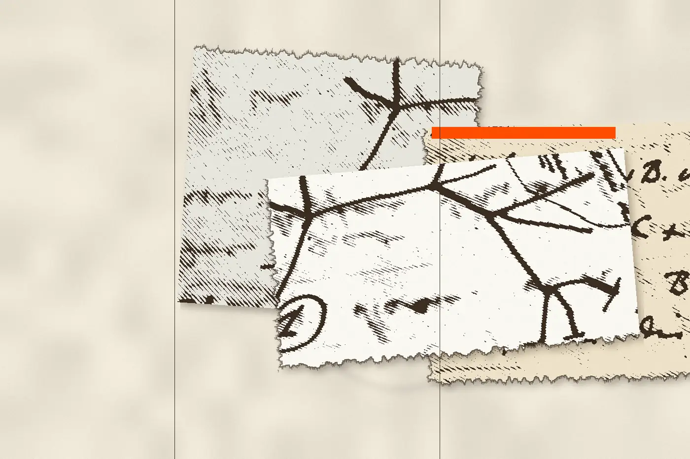 Charles Darwin, „I think“ — erste Skizze eines Stammbaums, Notizbuch B, 1837